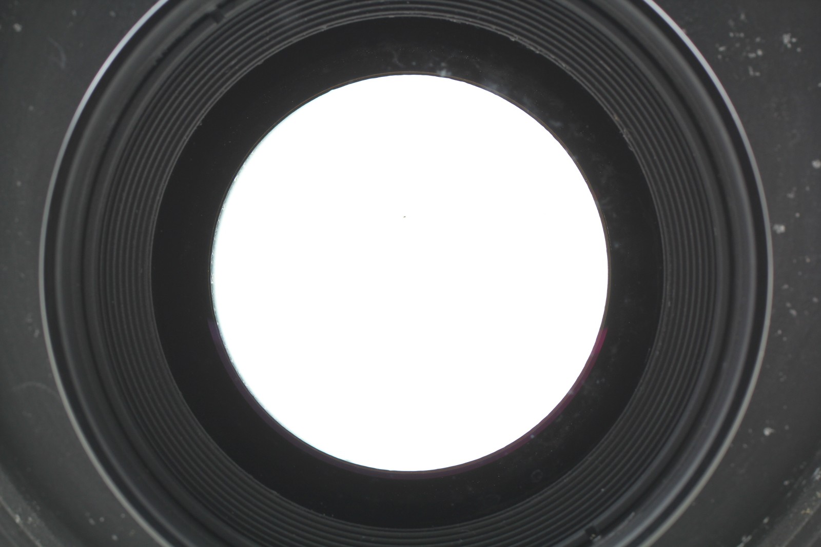 [Exc+5] Nikon Nikkor W 180mm F5.6 Copal 1 Large Format Lens Wista From JAPAN
