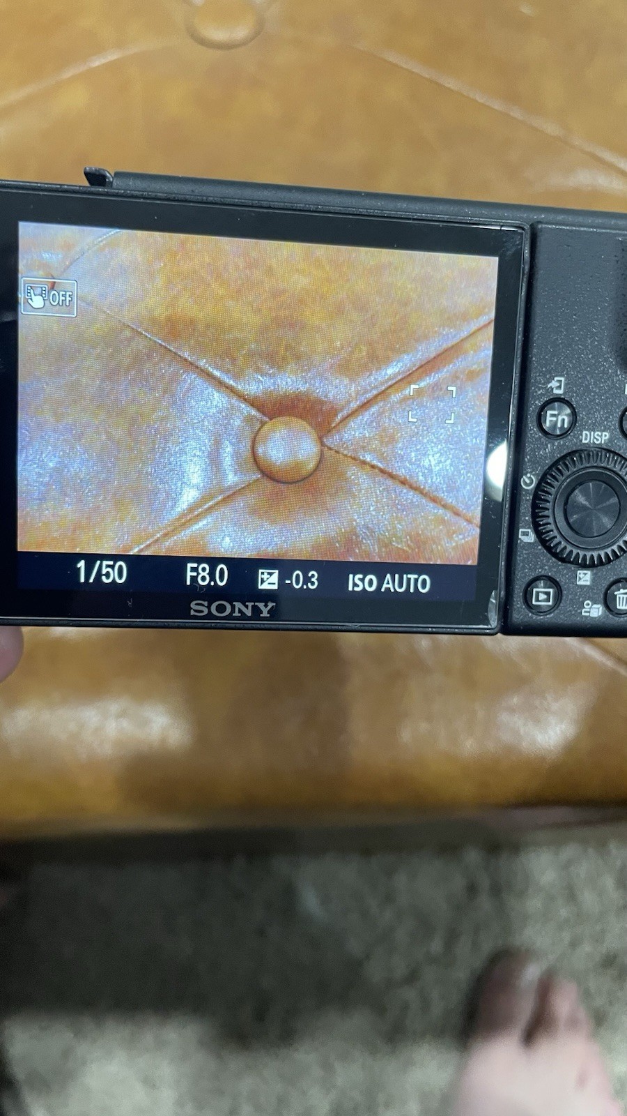 Sony Zv1f