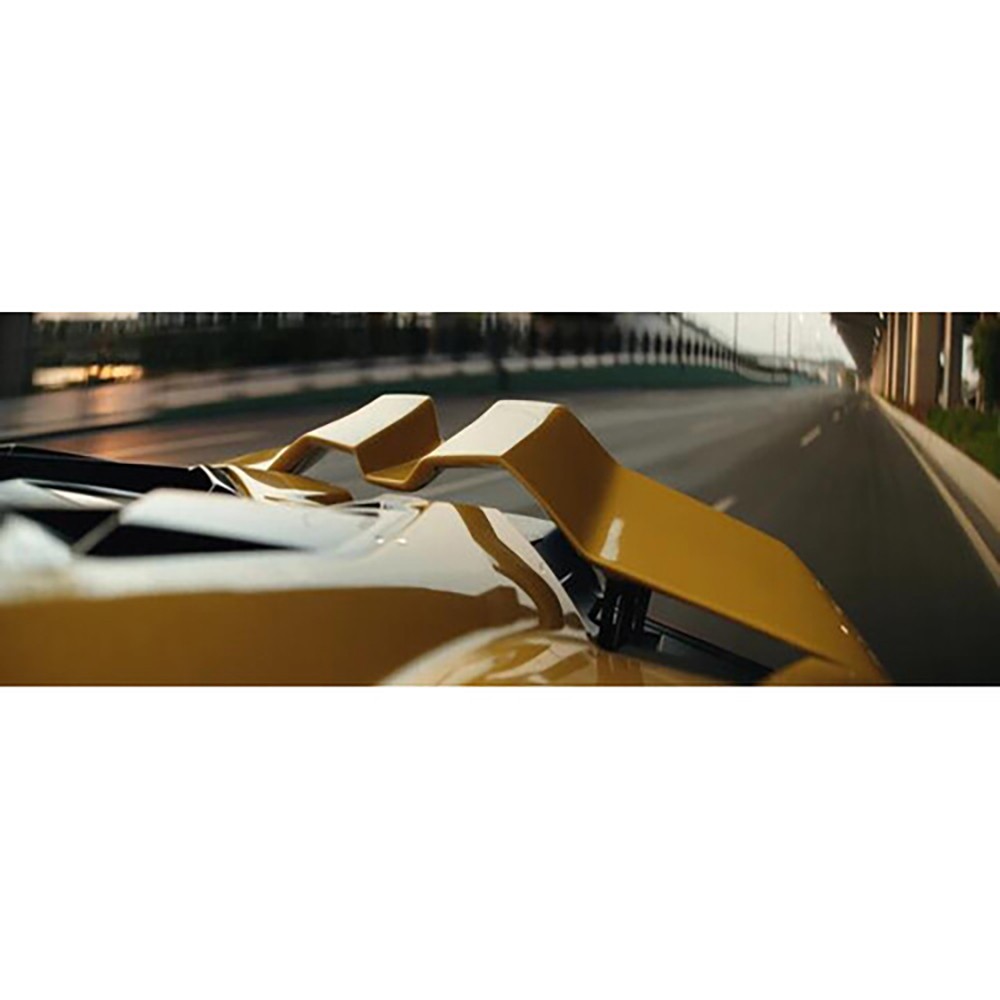 DZOFilm Arcana 45mm Anamorphic Prime Lens (ARRI PL, Titanium)