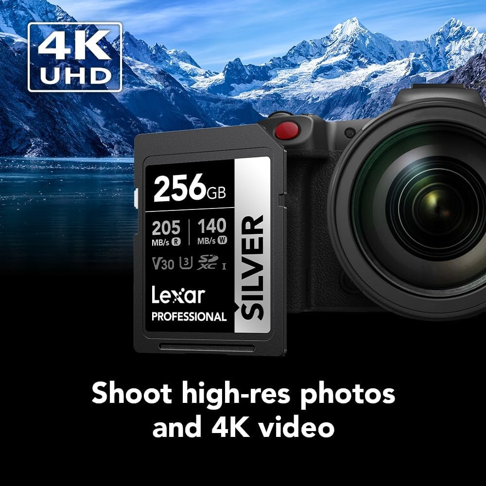 Lexar 256GB Professional Silver SD Card, UHS-I, C10, U3, V30, 256GB,