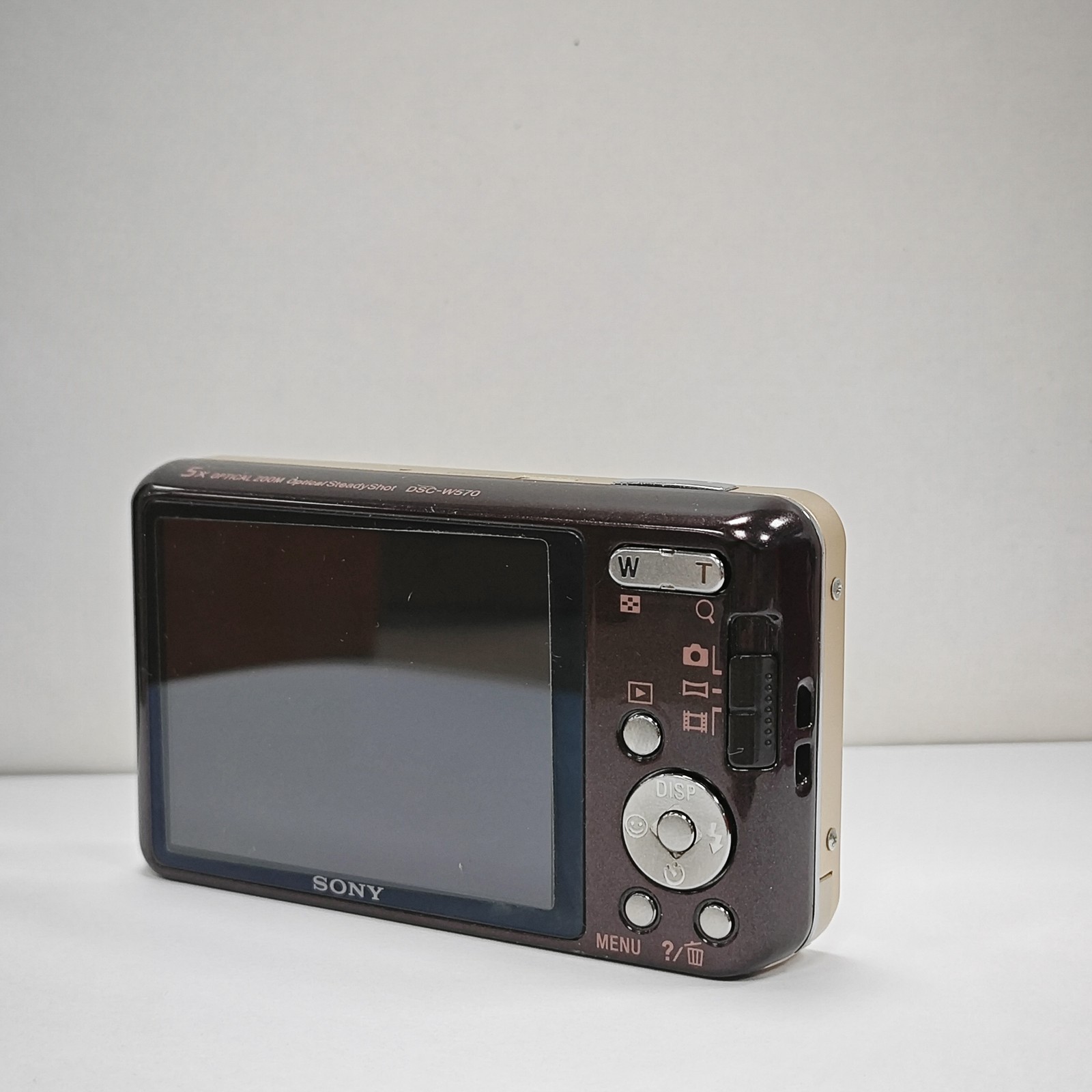 SONY Cyber-shot DSC-W570 Digital Camera 5x Optical Zoom 16.1 MP English language
