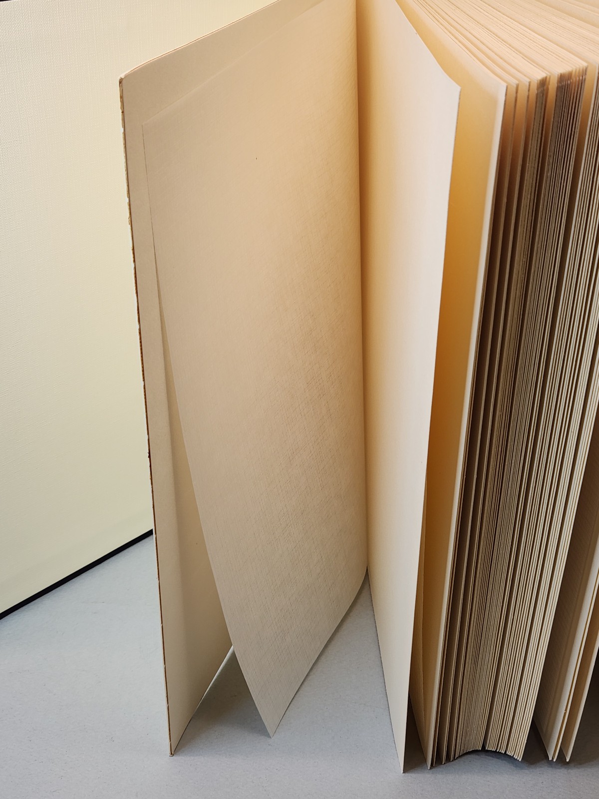 Daisy Arts Leather Bound Photo Album (13″ x 12″) 50 Pages, Made in Italy