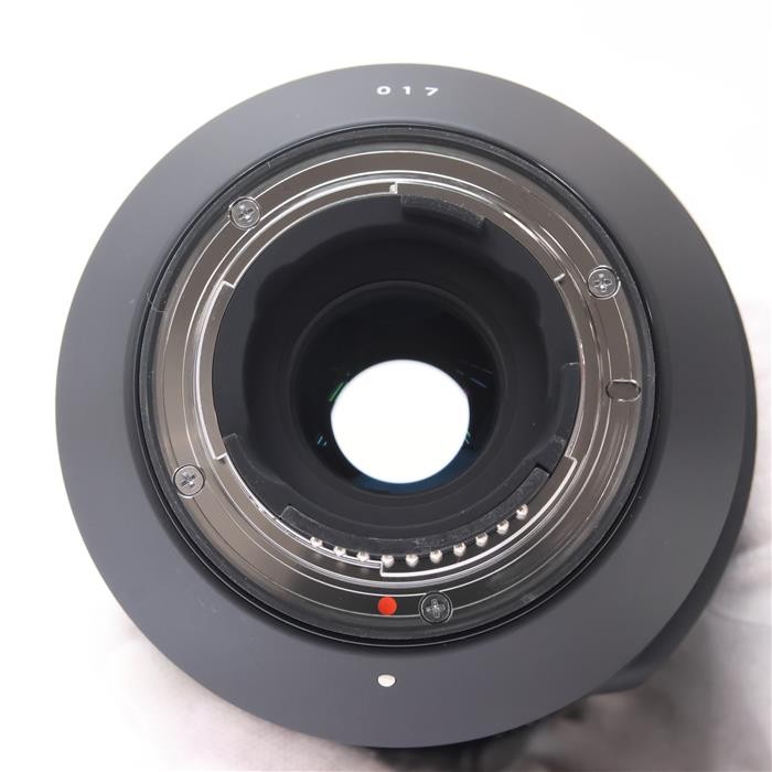 SIGMA 100-400mm F/5-6.3 DG OS HSM Contemporary (Nikon F mount) -Near Mint- #48
