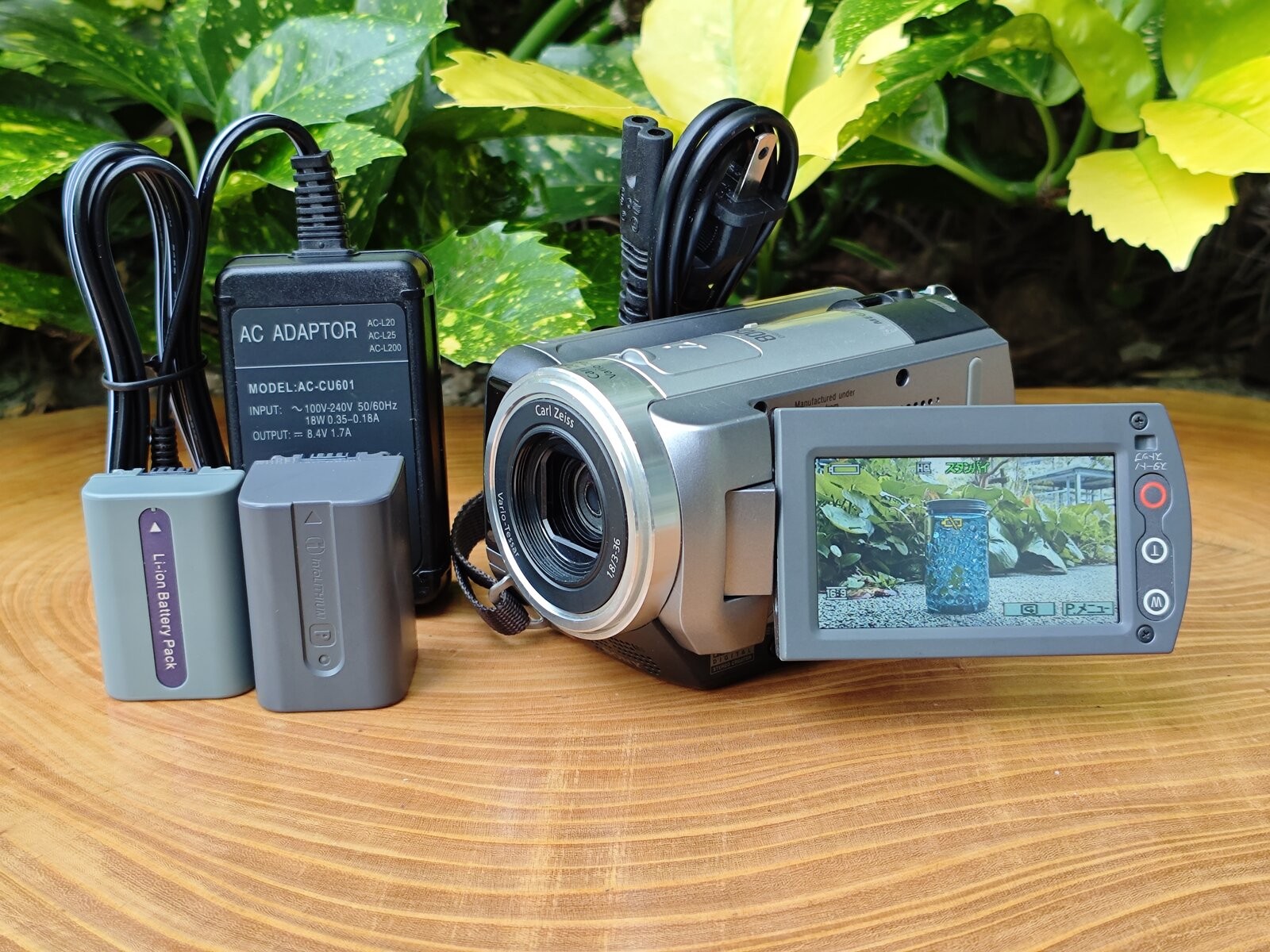 10466 Sony DCR-SR60 Camcorder HDD NTSC Tested w/ Charger w/o Station