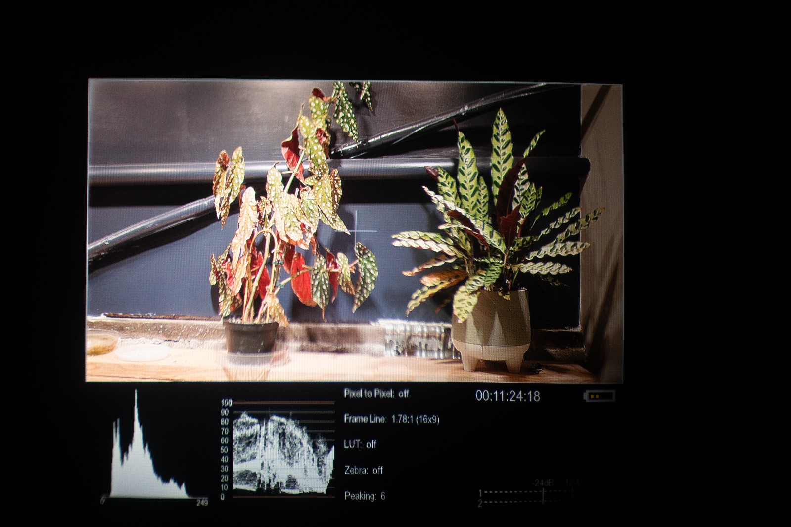 Zacuto Z-GRE Gratical Eye Micro OLED Electronic Viewfinder