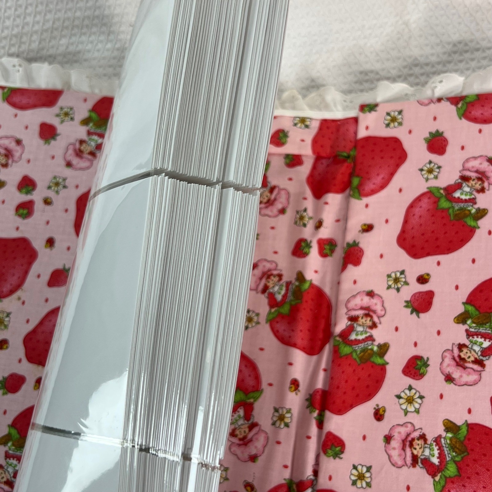 Handmade Strawberry Shortcake Fabric Photo Album 3-Ring Binder Eyelet Lace Pink