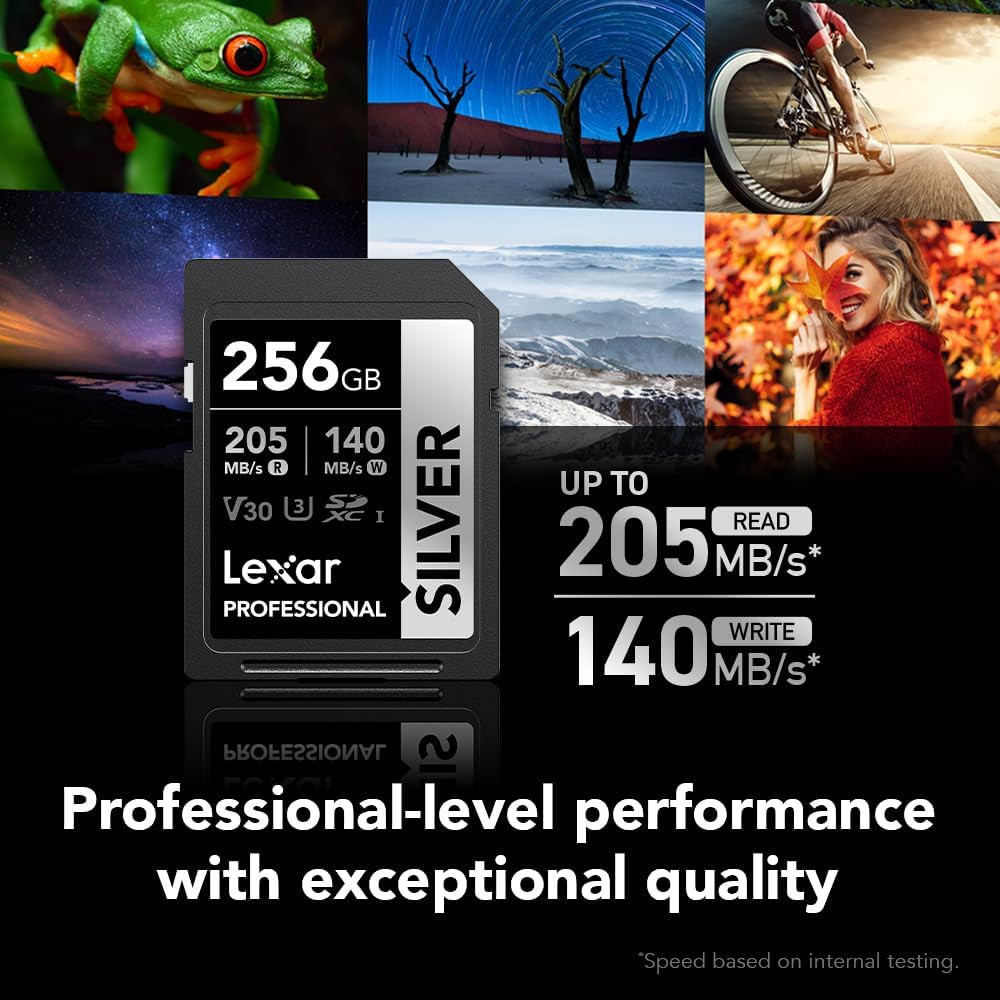 256GB Professional Silver SDXC Memory Card, UHS-I, C10, U3, V30, 4K Video, up to