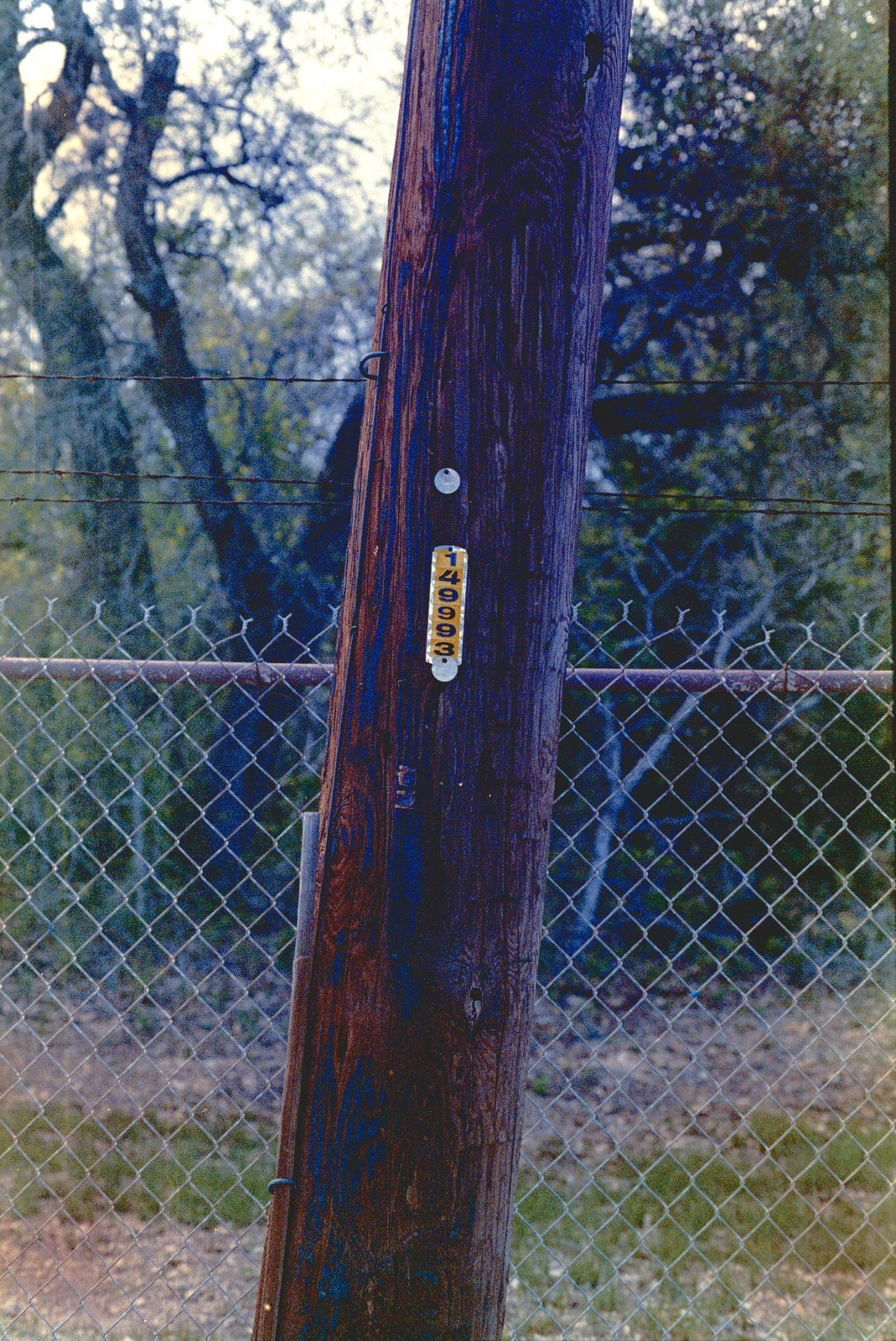 Darko’s 5289 — 35mm ECN-2 Color Negative Film — ISO 100–400 Tungsten 24 Exp