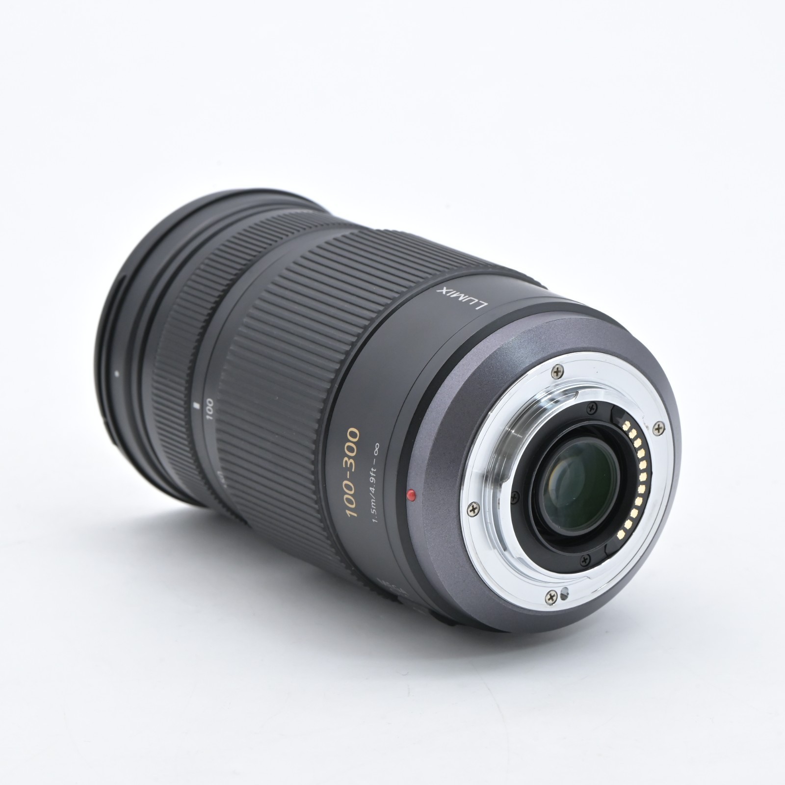 Panasonic LUMIX G VARIO 100-300mm F4-5.6 MEGA O.I.S. H-FS100300 [Exc++] US Stock