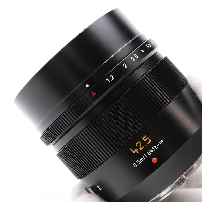 Panasonic LEICA DG NOCTICRON 42.5mm F/1.2 ASPH. POWER O.I.S. (MFT) #213