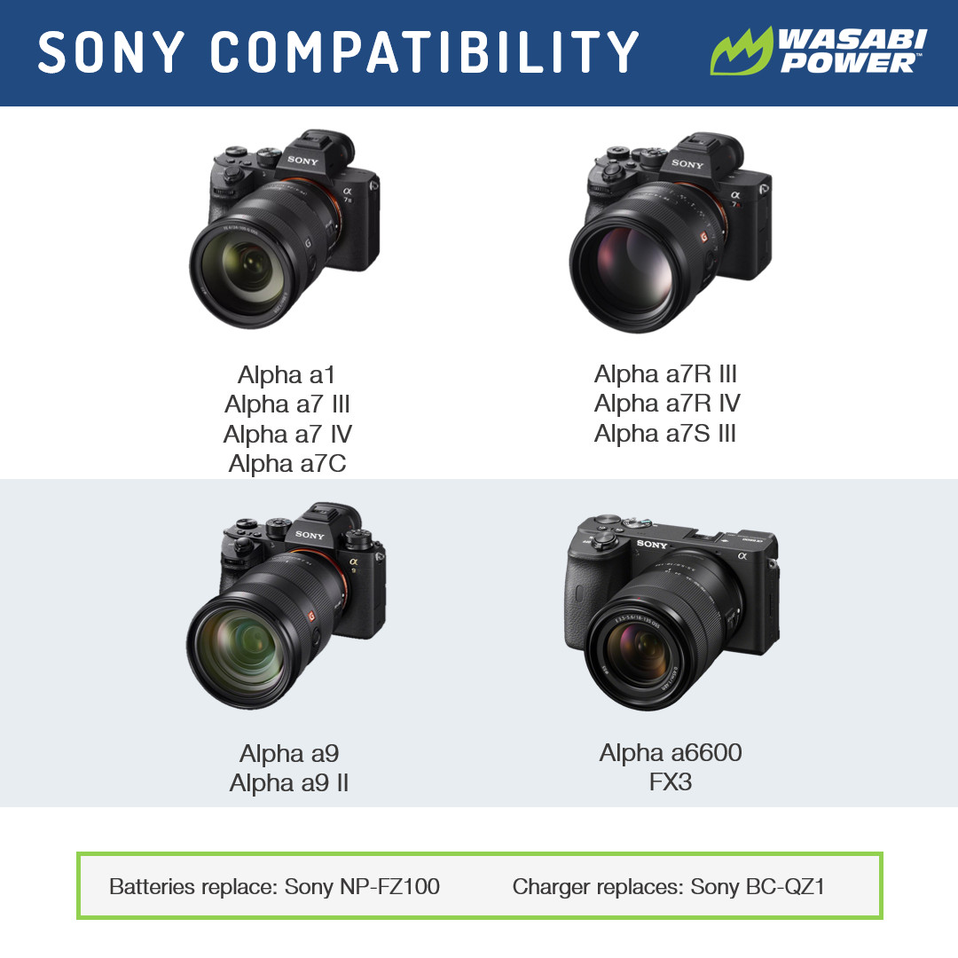 Wasabi Power Battery (x2) and Dual Charger for Sony NP-FZ100, BC-QZ1 and Sony a9