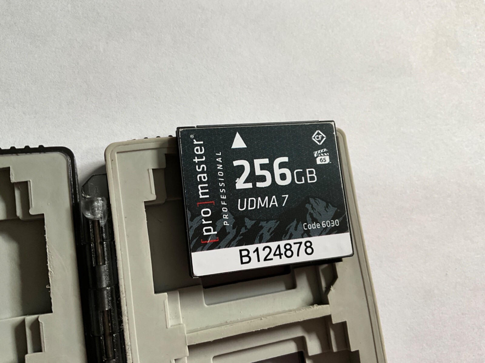 1pcs 256GB Pro Master for high end CF DSLR NIKON CANON cameras