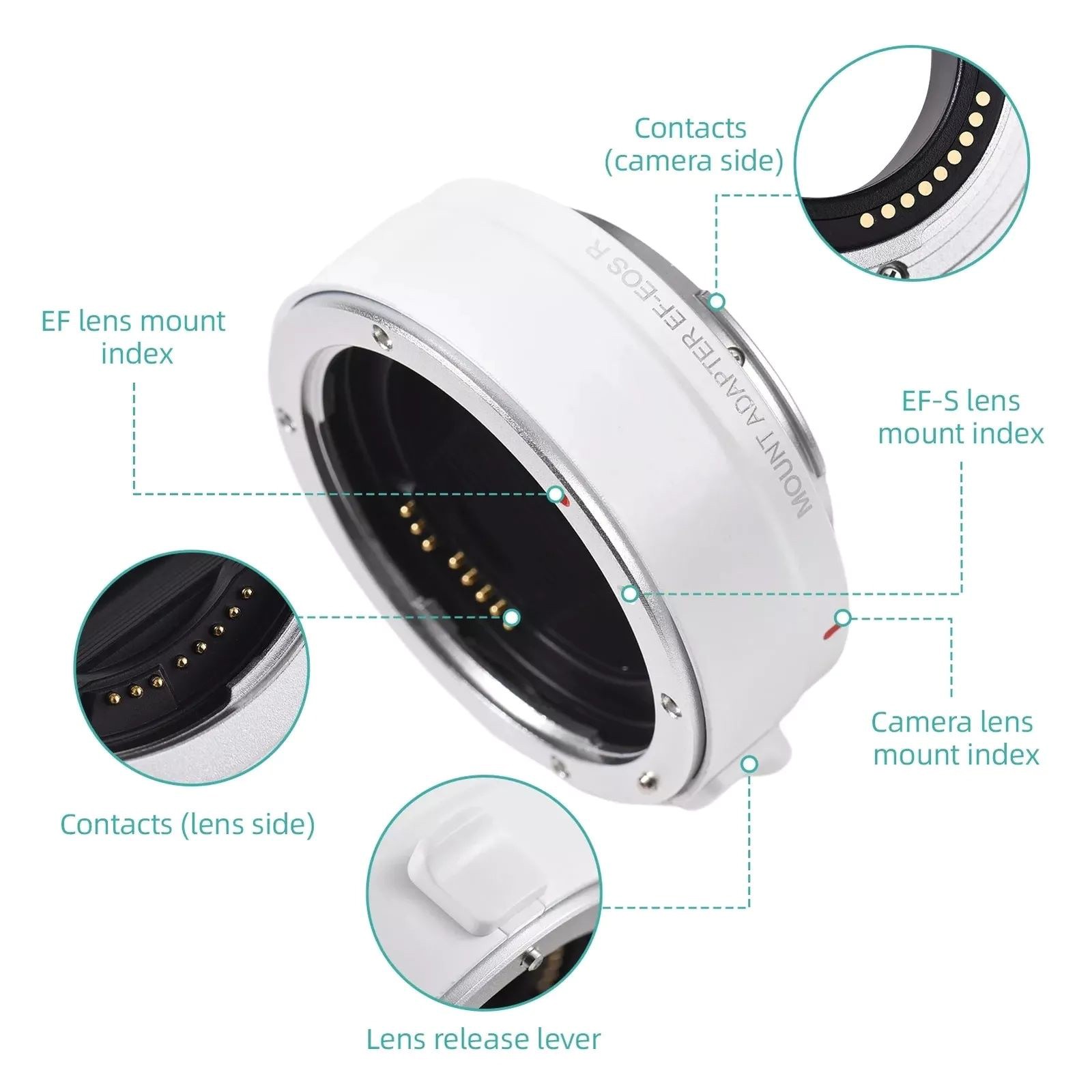 EF-EOS R Auto Focus Lens Adapter For Canon EF EF-S Lens To EOS R RF Mount Camera