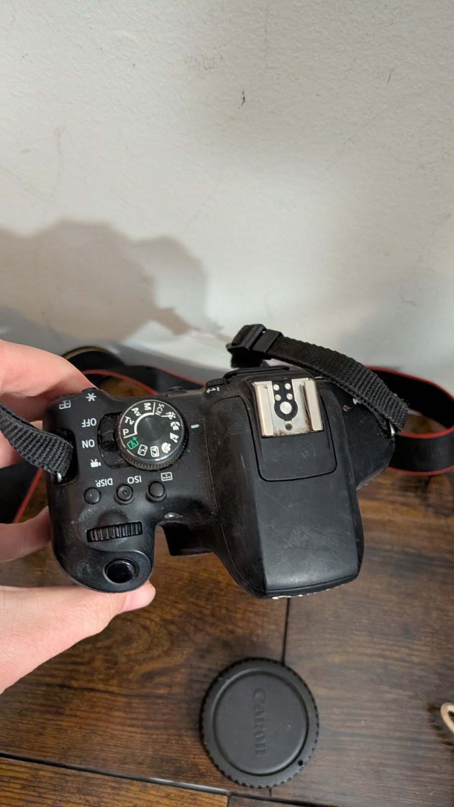 Canon EOS REBEL T6i 24.2MP Digital SLR Camera Body ONLY