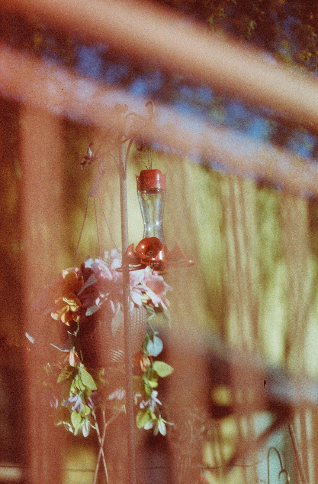 1x Roll Coyote 50 ISO 35mm Color Film 36exp LAB TESTED LCDRF ™