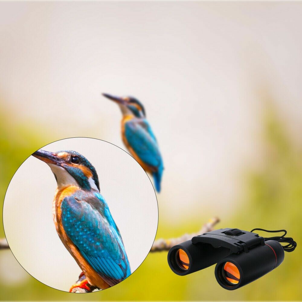 Binoculars 30×60 Zoom Outdoor Travel Compact Folding Telescope Hunting Day/Night