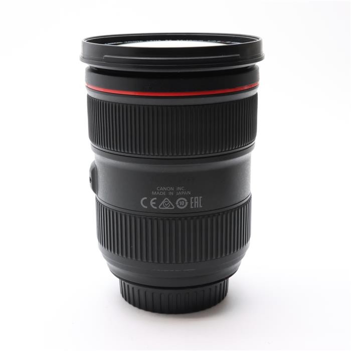Canon EF 24-70mm F/2.8L II USM (Canon EF mount) #69