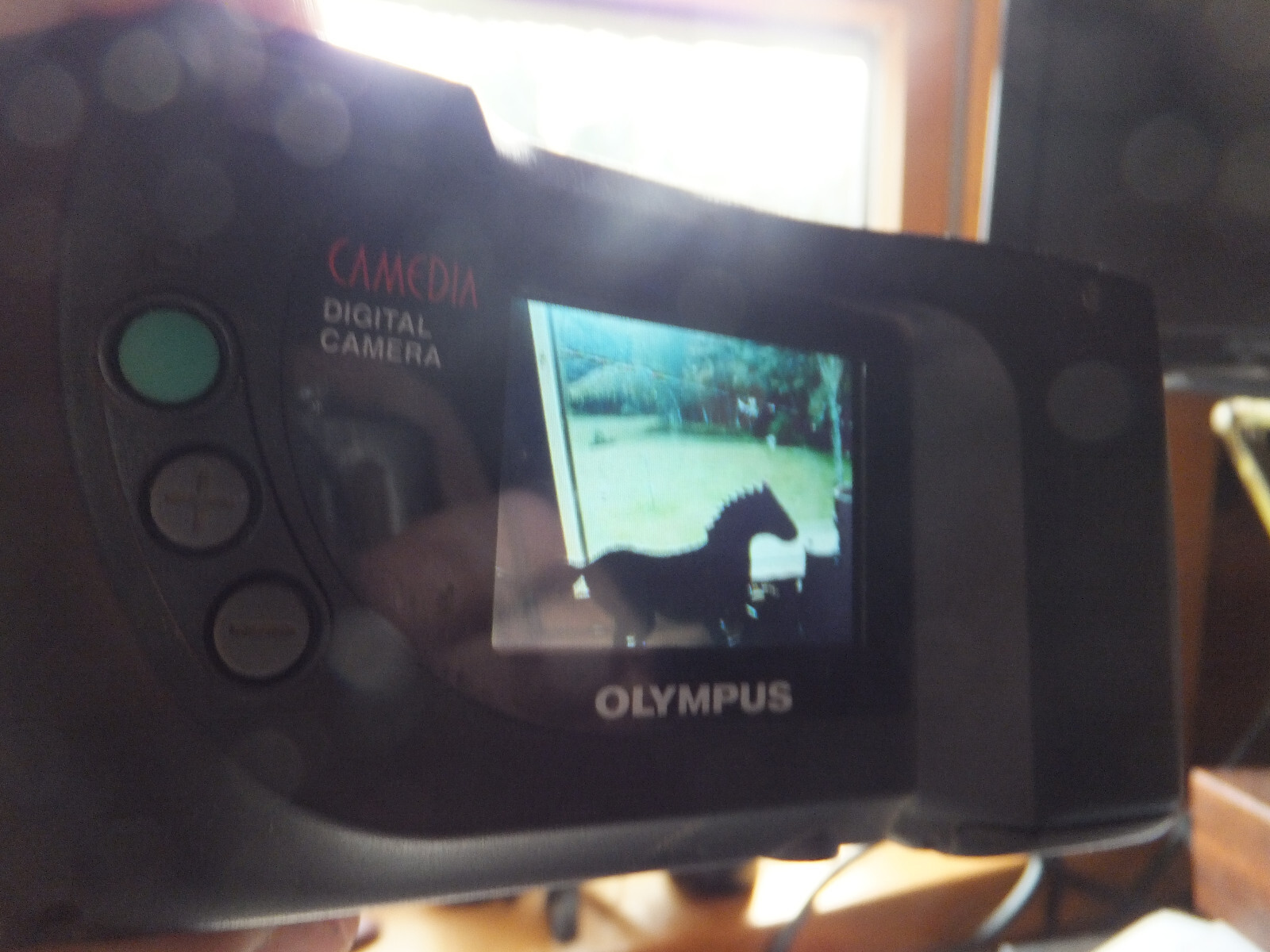 Olympus Digital Camedia Camera D-360L, 1.3 Megapixel w/ Card