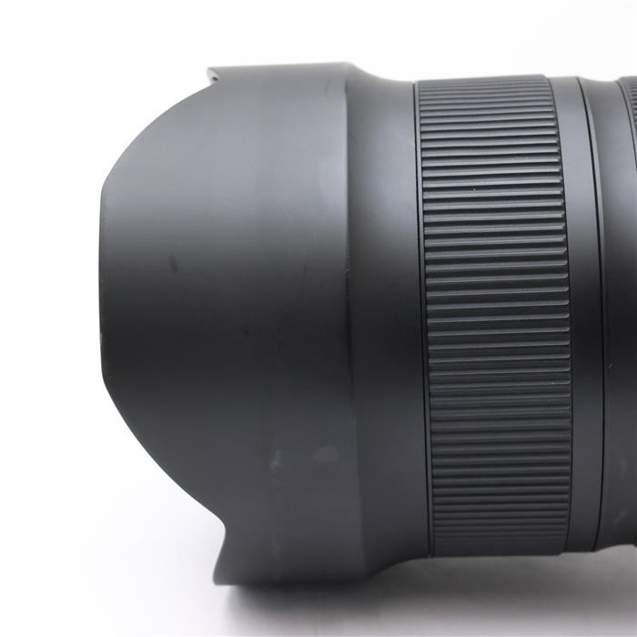 TAMRON SP 15-30mm F/2.8 Di VC USD G2 / A041N (for Nikon F mount) #128