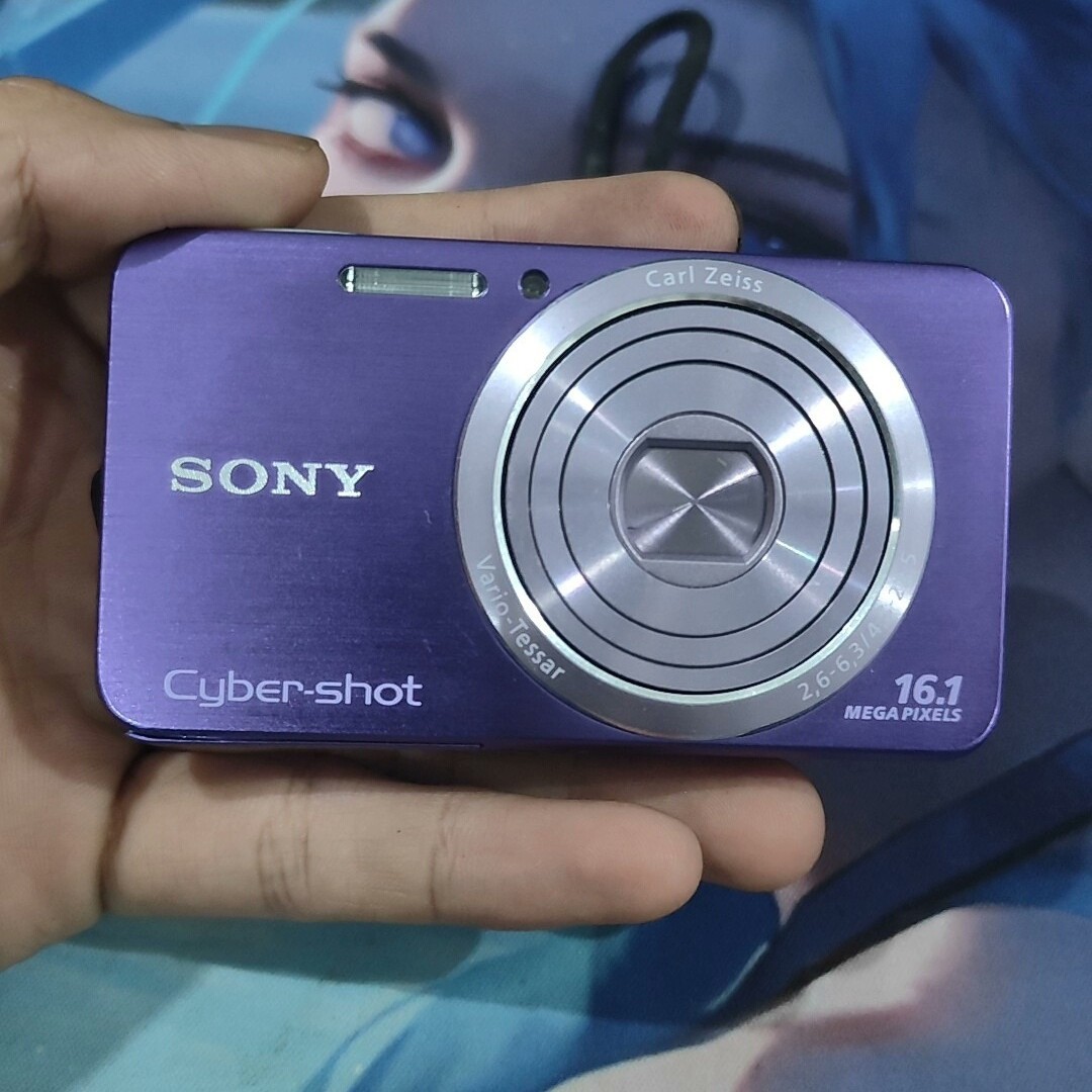 Purple SONY Cyber shot DSC-W630 Digital Camera 16.1 MP 5x Optical Zoom English
