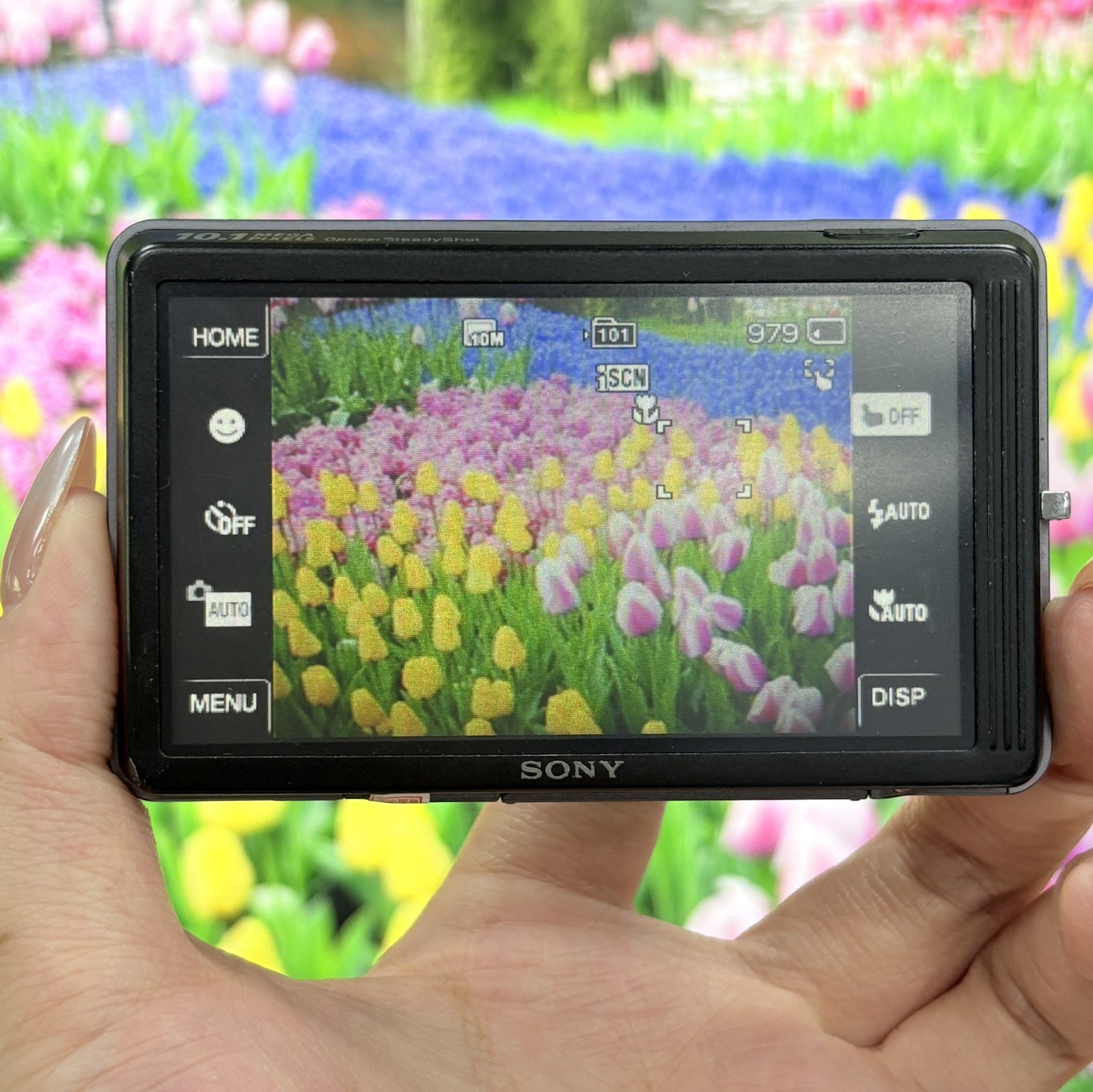 Sony Cybershot DSC-T700 10MP Digital Camera 4x Optical Zoom w/SD Card,Charger