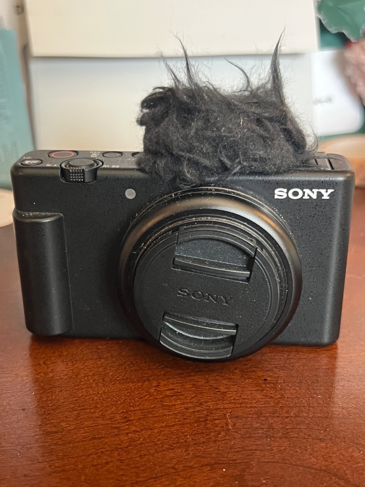 Sony ZV-1F 20.1MP 4K f/2 Vlogging Digital Camera – Black