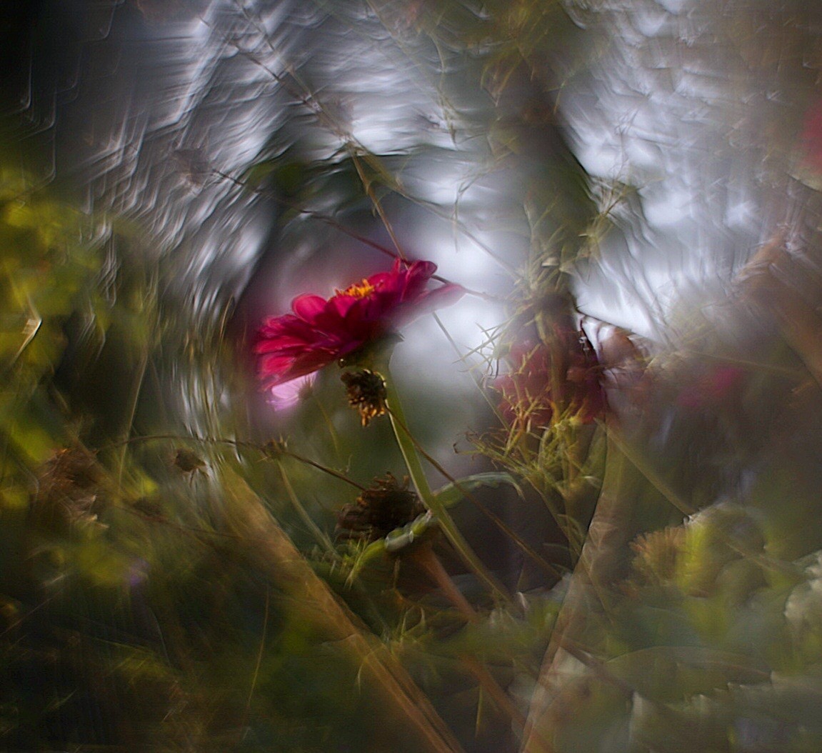 Petzval Modification HELIOS-44 F/2 58mm Dreamy Swirly Bokeh SONY E MOUNT Adapter