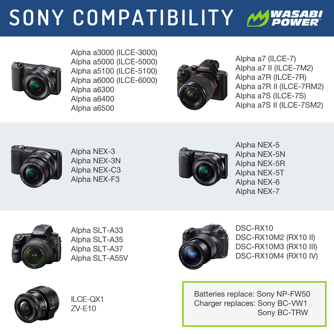 Wasabi Power Battery (2-Pack) and Dual Charger for Sony NP-FW50
