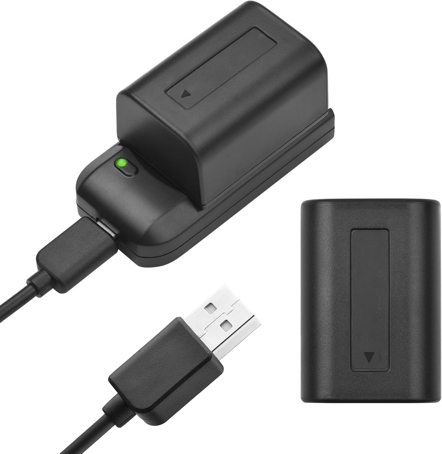 NP-FV5 Battery Charger with LED Indicator Light + 2 NP-FV5 plus Batteries 3.7V 1