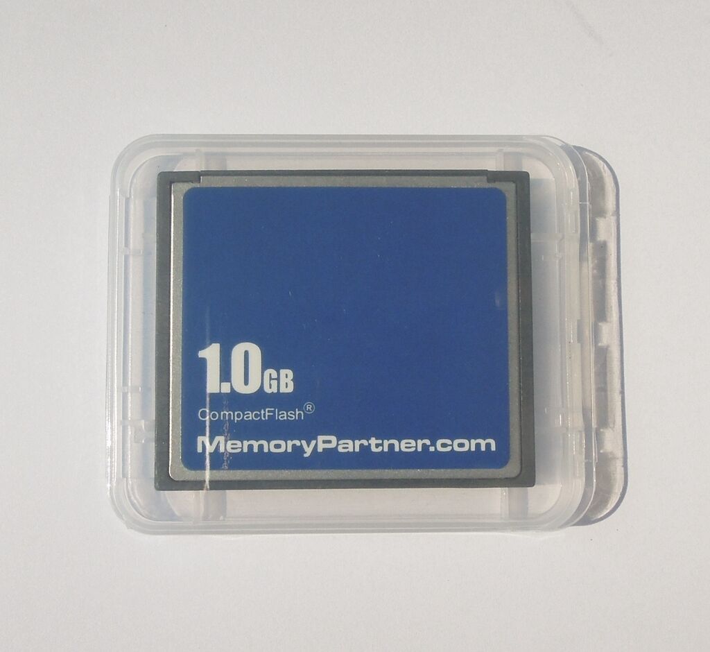 1GB 1G CompactFlash Standard CF Memory Card Generic OEM W/Cases Free Shipping ME