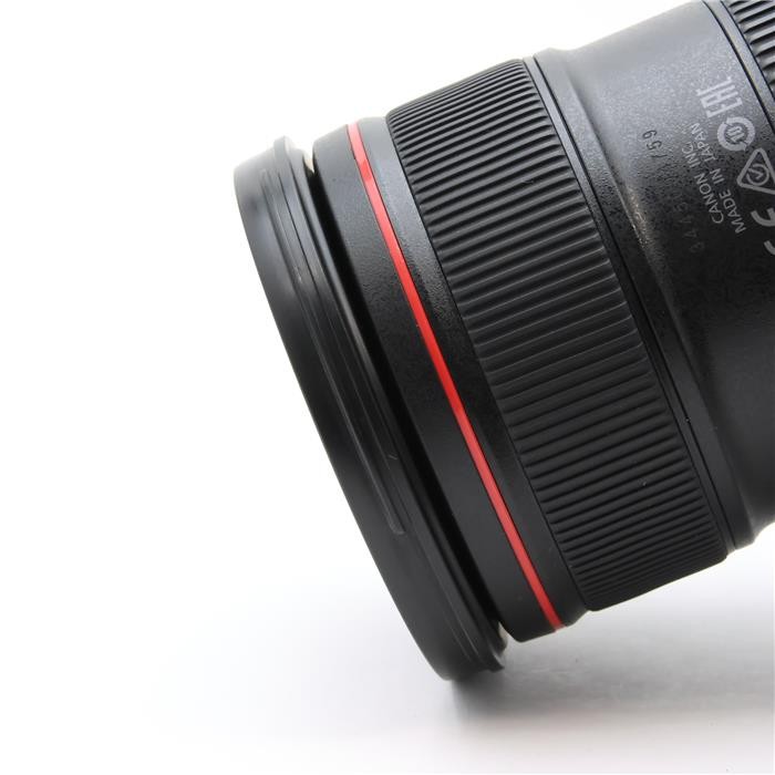 Canon EF 24-70mm F/2.8L II USM (Canon EF mount) #69