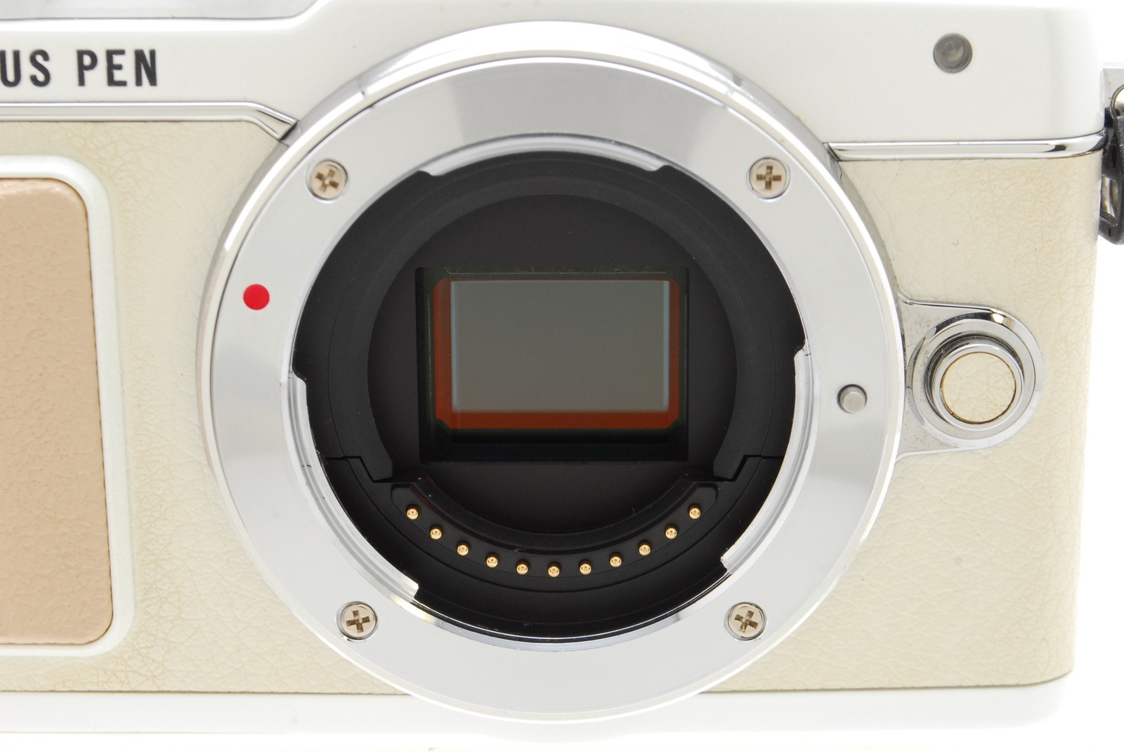 [MINT w/Box] Olympus PEN Lite E-PL7 16.1MP Digital Camera 2844 Shots! From JAPAN