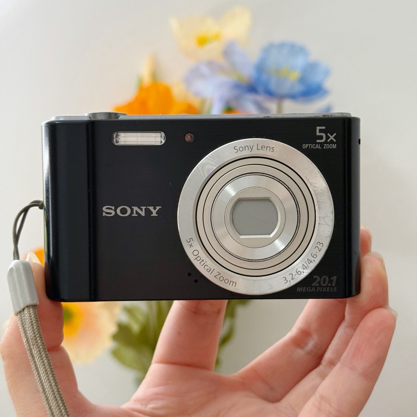 Sony Cyber-shot DSC-W800 20.1 MP 5x Optical Zoom Digital Camera English Language