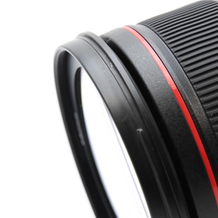 Canon EF 24-70mm F/2.8L II USM (Canon EF mount) #69