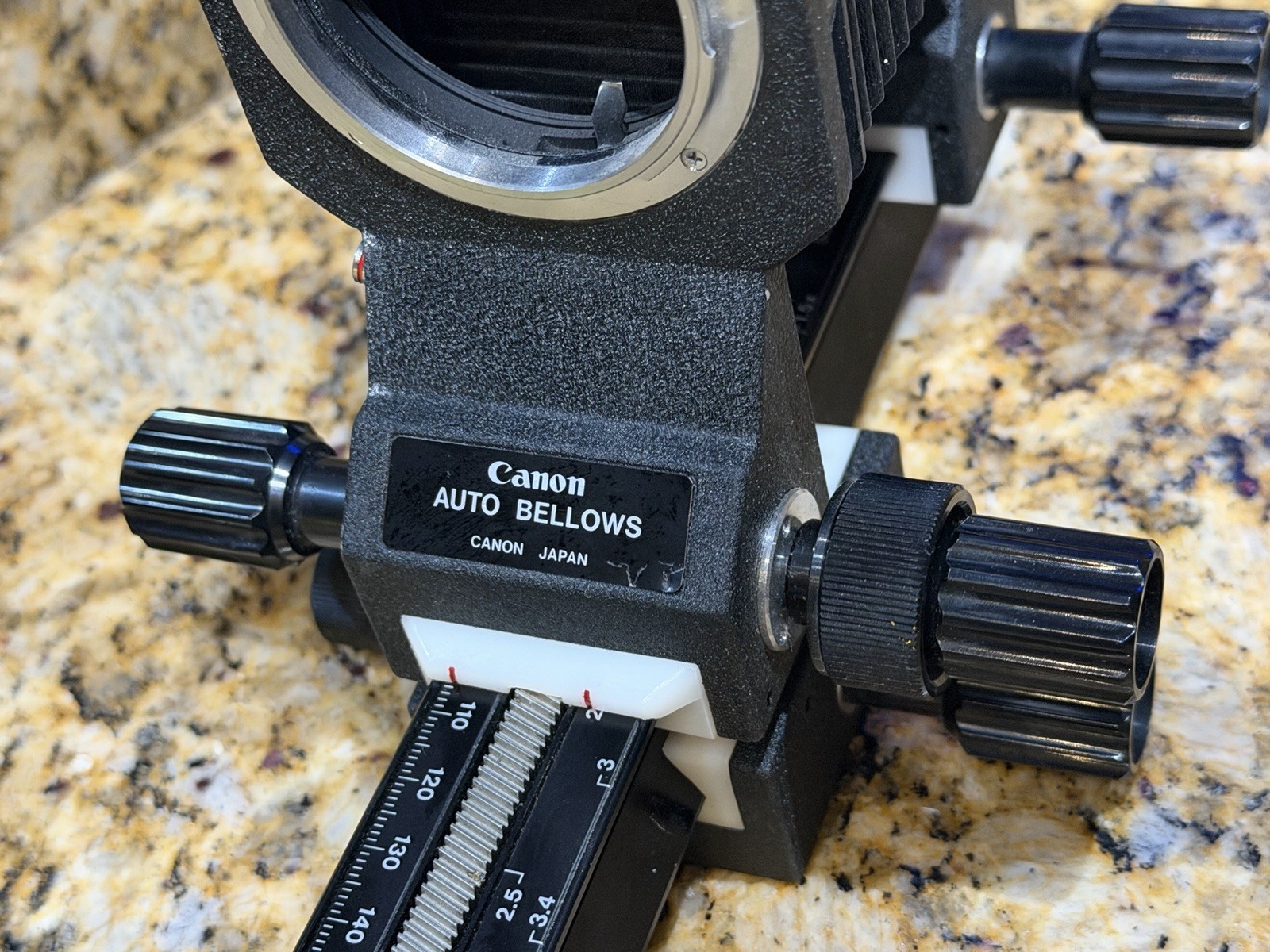 Canon Auto Bellows FD Mount Tested