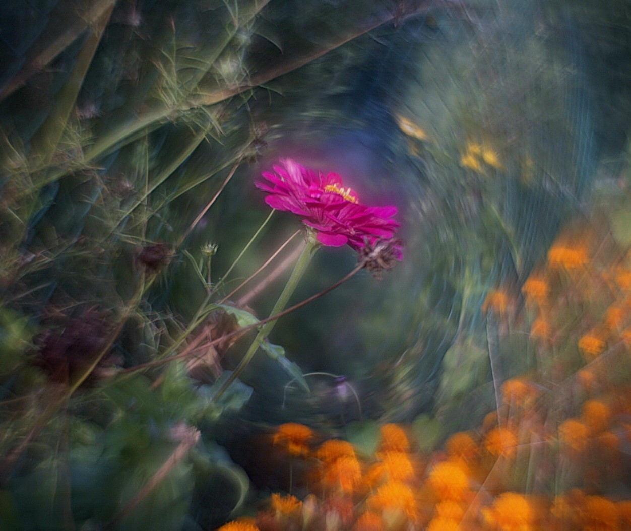 Petzval Modification HELIOS-44 F/2 58mm Dreamy Swirly Bokeh SONY E MOUNT Adapter
