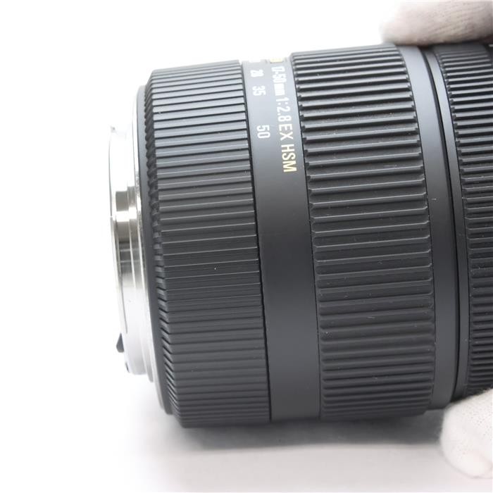 SIGMA 17-50mm F/2.8 EX DC OS HSM (for Canon EF mount) #199