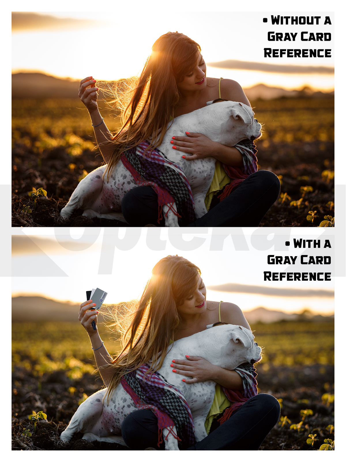 Opteka Pocket-Sized Grey White Balance Card 18% Exposure Kit for Digital Cameras