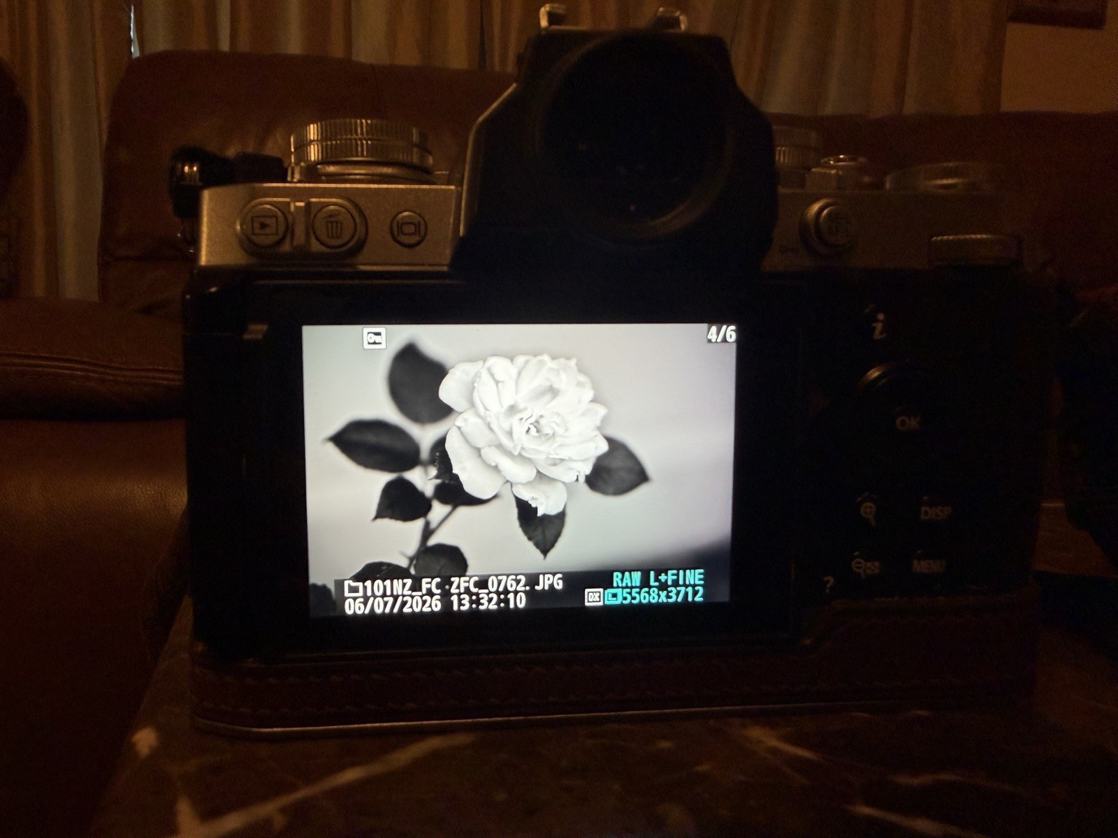 Nikon ZFC: Body Only, Custom Leather Case, Under 800 Shutter Count