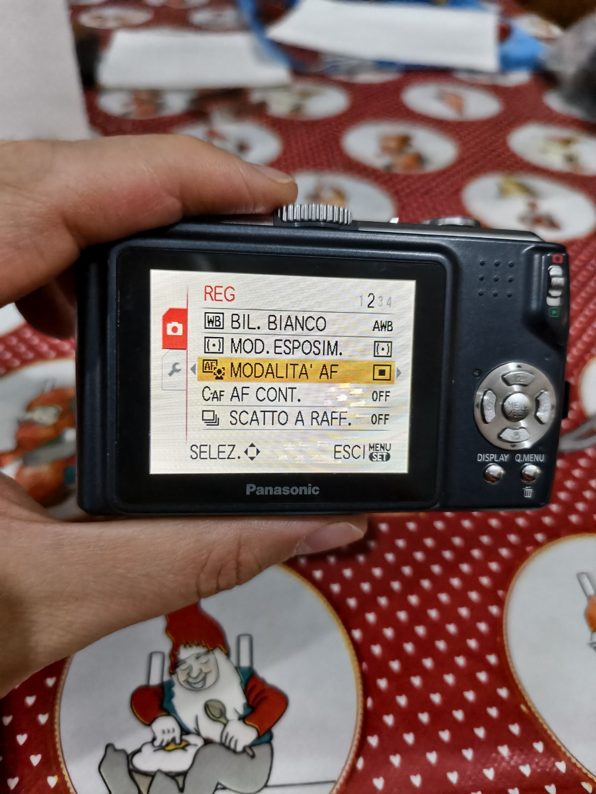 Panasonic Lumix DMC-TZ4 Camera