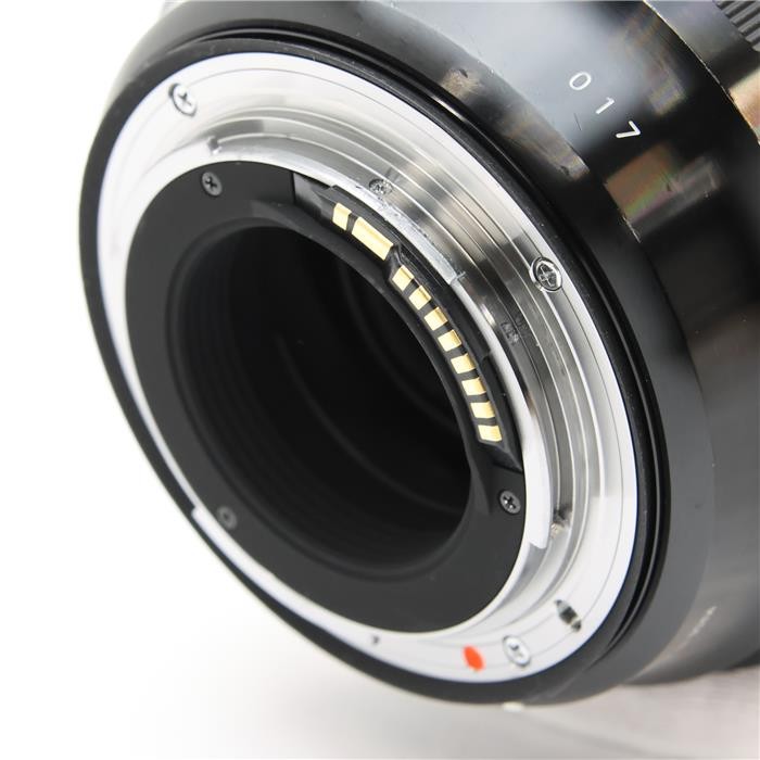 Sigma 24-70mm F/2.8 DG OS HSM Art (for Canon EF mount) #109