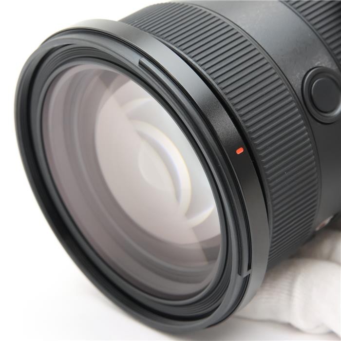 Sony FE 24-70mm F/2.8 GM II SEL2470GM2 (Sony E mount) #110