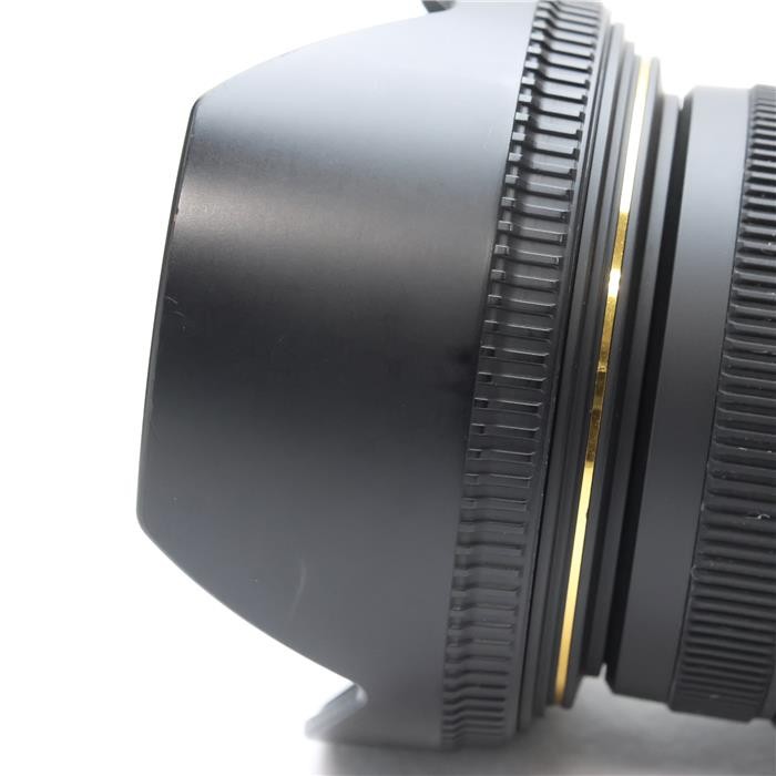 SIGMA 17-50mm F/2.8 EX DC OS HSM (for Canon EF mount) #199