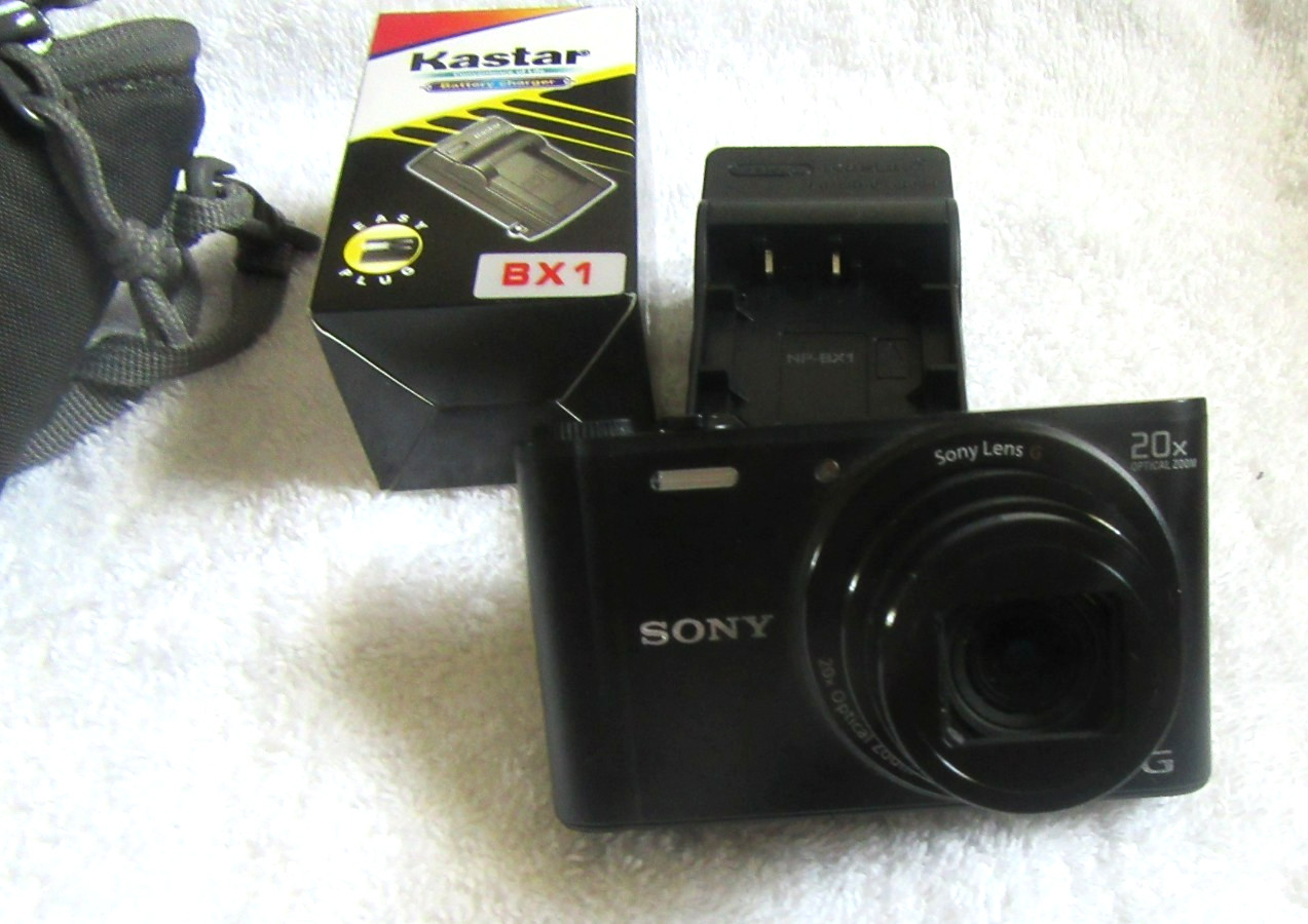 Sony Cyber-shot DSC-WX350 Compact Digital Camera 18.2MP 20x Optical Black Tested
