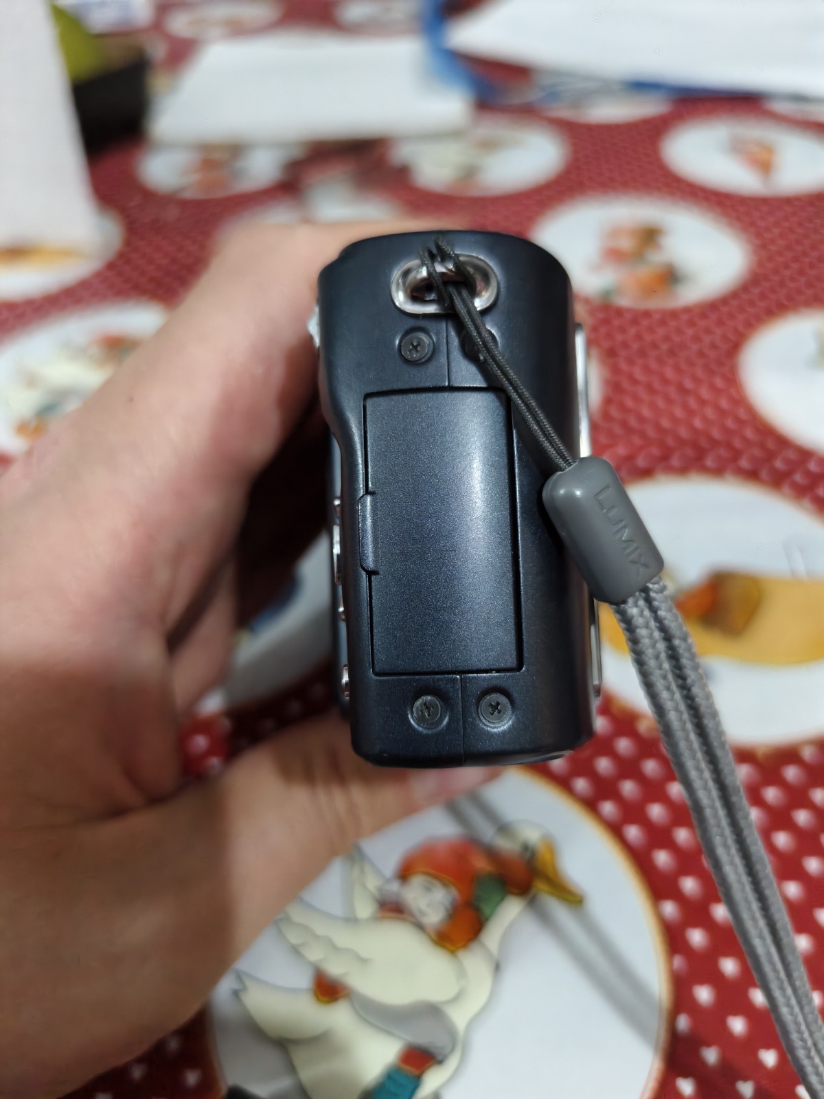 Panasonic Lumix DMC-TZ4 Camera