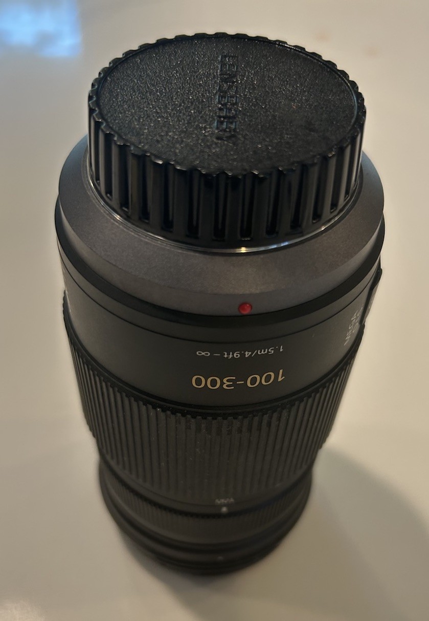 Panasonic Lumix G Vario 100-300mm f/4.0-5.6 Mega O.I.S Lens + Box/Case/Caps/Hood