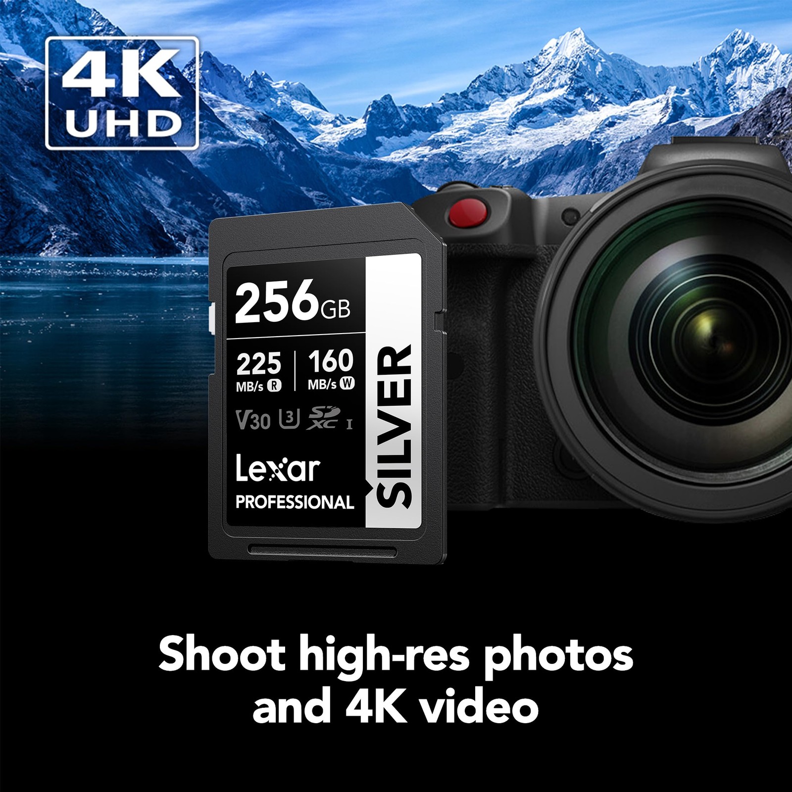 256GB Professional Silver SDXC Memory Card, UHS-I, C10, U3, V30, 4K Video, Up to