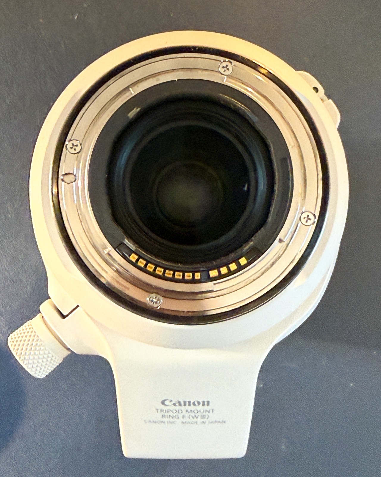 Canon RF 100-500mm f/4.5-7.1 L IS USM — Used