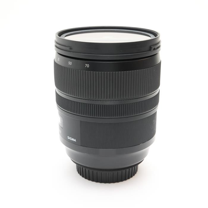 Sigma 24-70mm F/2.8 DG OS HSM Art (for Canon EF mount) #109